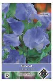 Lathyrus Capri Siererwt Pronkboon Geurerwt