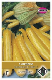 Courgette Sebring F1 - gele courgette