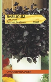 Basilicum Dark Opal