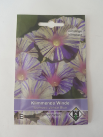 Klimmende Winde - Ipomoea Venice Blue