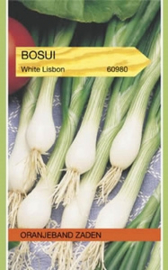 Bosui White Lisbon