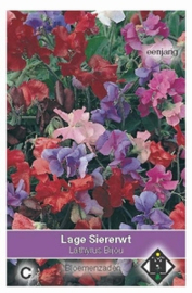 Lathyrus Bijou Siererwt Pronkboon Geurerwt