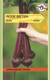 Rode Bieten Solist