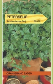 Peterselie - platte peterselie