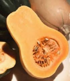 Organic Bio Pompoen Waltham Butternut