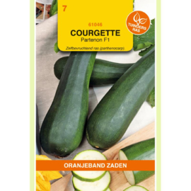 Courgette Partenon F1