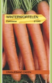 Winterwortel Flakkese 2