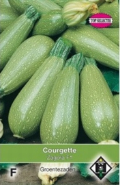 Courgette Lorea F1