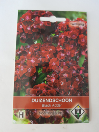 Duizendschoon - Black Adder