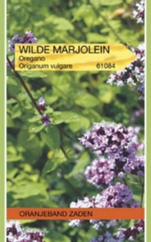 Oregano - Wilde Marjolein