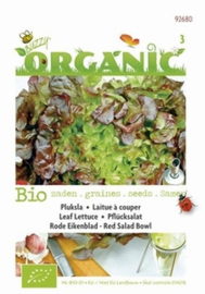 Organic Bio Pluksla Red Salad Bowl