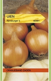 Uien Rijnsburger 5