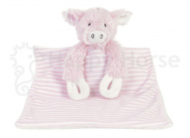 Pig Pimmy Foldable Tuttle