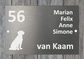 Naambordje voordeur RVS 20x30cm