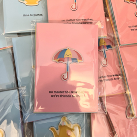10 magneetkaarten divers