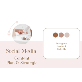 Social Media Content Plan & Strategie
