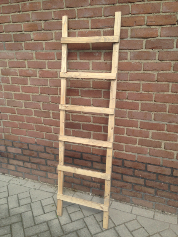 Betere Decoratie Ladder (Afmetingen HxB: 170x50cm) | Decoratie | Vanalleshout TI-94