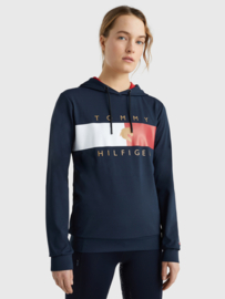 Tommy Hilfiger Flag Performance Hoodie Desert Sky