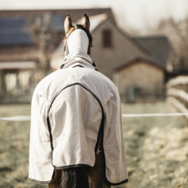 Bescherm je paard optimaal tegen vliegen