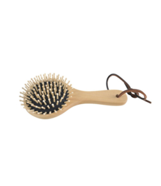 Borstiq Mane brush in beech tree