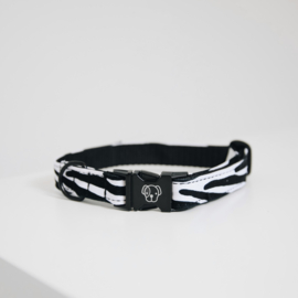 Kentucky halsband Zebra