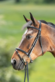 HFI Comfort bridle