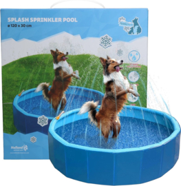 Coolpets Splash Sprinkler  Pool