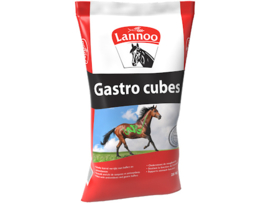 Lannoo Gastro Cubes 25kg