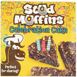Stud Muffin celebration cake
