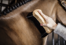 How to take care of your horse's winter coat