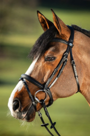 HFI Soft bridle