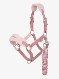 LeMieux Vogue Headcollar & Leadrope Blossom