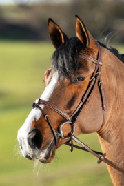 HFI Anatomic bridle brown cognac