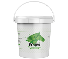 Equivi Recovery Gel 2500ml