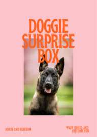 Doggie Surprise Box Basic