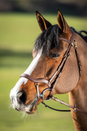 HFI Techno bridle