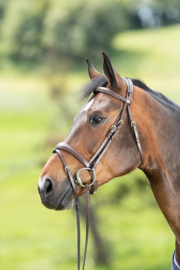 HFI Technical bridle