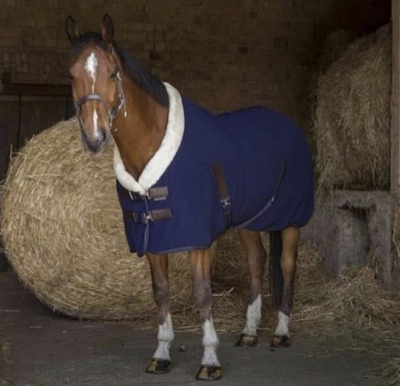 Teddy fleece deken met kraag | Fleecedekens | Horse and Freedom