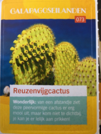 AH - ontdek de wondere wereld met freek vonk - 073 - Reuzenvijgcactus