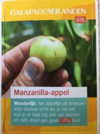 AH - ontdek de wondere wereld met freek vonk - 075 - Manzanilla-appel