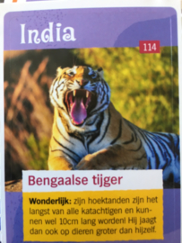 AH - ontdek de wondere wereld met freek vonk - 114 - bengaalse tijger