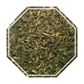 Marocco MInt