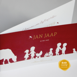 Geboortekaartje Jan Jaap