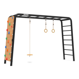 BERG PLAYBASE Large TL (DISC SWING+RINGS+CLIMBING WALL)