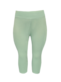 Legging DRIEKWART brede tailleband pastel groen  nog maat 36