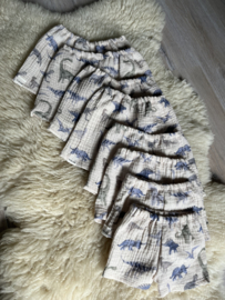 Korte broek dino