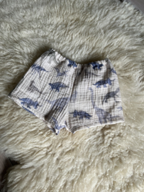 Korte broek dino