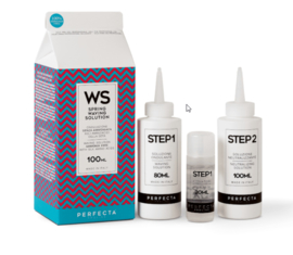 PERFECTA - WS - PERMANENT SET - SPRING WAVING SOLUTION