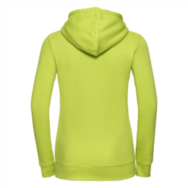 Hoodie Skyline Lemmer