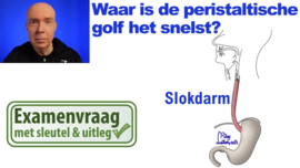 Slokdarm: peristaltiek